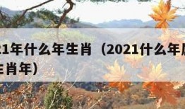 2021年什么年生肖（2021什么年属什么生肖年）