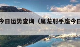 射手座今日运势查询（属龙射手座今日运势查询）