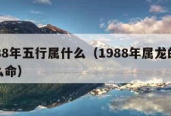 1988年五行属什么（1988年属龙的是什么命）