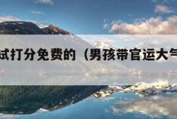 姓名测试打分免费的（男孩带官运大气的名字）