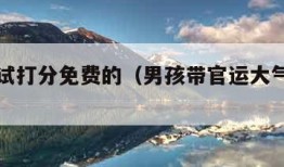 姓名测试打分免费的（男孩带官运大气的名字）