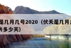 伏天是几月几号2020（伏天是几月几号2023共多少天）