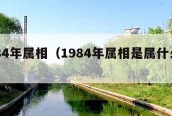 1984年属相（1984年属相是属什么的）