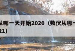 数伏从哪一天开始2020（数伏从哪一天开始2021）