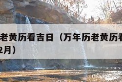 万年历老黄历看吉日（万年历老黄历看吉日2024年2月）