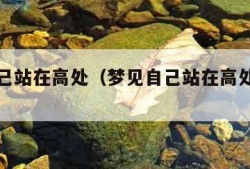 梦见自己站在高处（梦见自己站在高处很害怕）