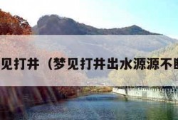 梦见打井（梦见打井出水源源不断）