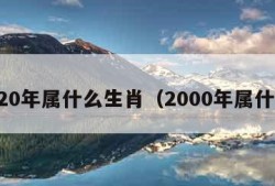 2020年属什么生肖（2000年属什么）