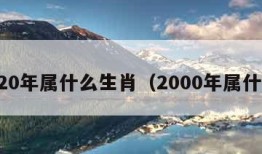 2020年属什么生肖（2000年属什么）