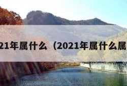 2021年属什么（2021年属什么属性）