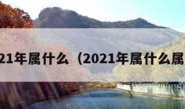 2021年属什么（2021年属什么属性）