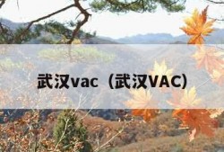 武汉vac（武汉VAC）