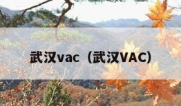 武汉vac（武汉VAC）