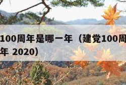 建党100周年是哪一年（建党100周年是哪一年 2020）