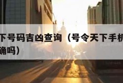 号令天下号码吉凶查询（号令天下手机号码测吉凶准确吗）