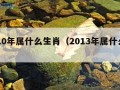 2010年属什么生肖（2013年属什么生肖）