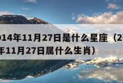 2014年11月27日是什么星座（2014年11月27日属什么生肖）