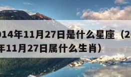 2014年11月27日是什么星座（2014年11月27日属什么生肖）