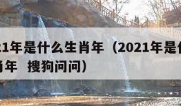 2021年是什么生肖年（2021年是什么生肖年  搜狗问问）