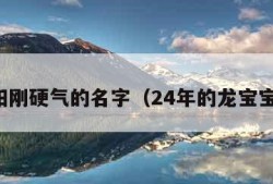 男孩阳刚硬气的名字（24年的龙宝宝名字）