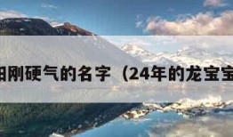 男孩阳刚硬气的名字（24年的龙宝宝名字）