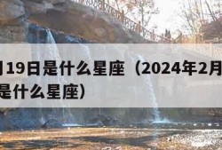 2月19日是什么星座（2024年2月19日是什么星座）