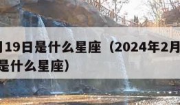 2月19日是什么星座（2024年2月19日是什么星座）