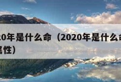 2020年是什么命（2020年是什么命五行属性）