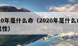 2020年是什么命（2020年是什么命五行属性）