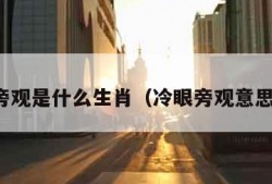 冷眼旁观是什么生肖（冷眼旁观意思解释）