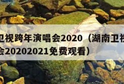 湖南卫视跨年演唱会2020（湖南卫视跨年演唱会20202021免费观看）