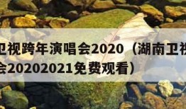 湖南卫视跨年演唱会2020（湖南卫视跨年演唱会20202021免费观看）