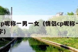 情侣cp昵称一男一女（情侣cp昵称一男一女俩字）