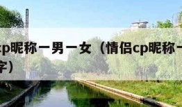 情侣cp昵称一男一女（情侣cp昵称一男一女俩字）