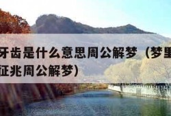 梦见掉牙齿是什么意思周公解梦（梦里掉牙齿是什么征兆周公解梦）