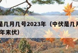 中伏是几月几号2023年（中伏是几月几号2023年末伏）