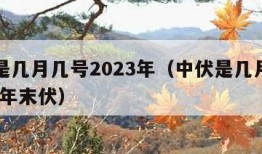 中伏是几月几号2023年（中伏是几月几号2023年末伏）