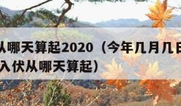 入伏从哪天算起2020（今年几月几日入伏 今年入伏从哪天算起）