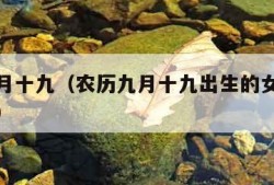 农历九月十九（农历九月十九出生的女孩的命运怎样）