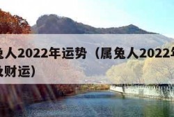 属兔人2022年运势（属兔人2022年运势及财运）