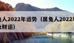 属兔人2022年运势（属兔人2022年运势及财运）