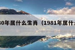 1980年属什么生肖（1981年属什么生肖）