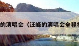 汪峰的演唱会（汪峰的演唱会全程视频）