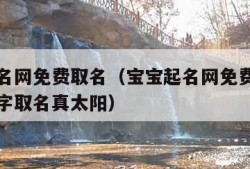 宝宝起名网免费取名（宝宝起名网免费取名字生辰八字取名真太阳）