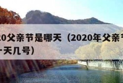 2020父亲节是哪天（2020年父亲节是哪一天几号）