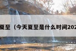 今天夏至（今天夏至是什么时间2023年）