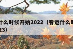 春运什么时候开始2022（春运什么时候开始2023）