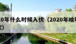 2020年什么时候入伏（2020年啥时候入伏）