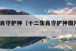 十二生肖守护神（十二生肖守护神图片大全12张）