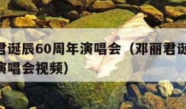 邓丽君诞辰60周年演唱会（邓丽君诞辰60周年演唱会视频）